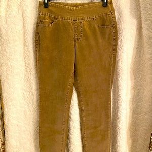 New with Tags - Jag High Rise Skinny Pants